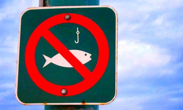 С 1 ноября на Киевщине устанавливается запрет на вылов рыбы в зимовальных ямах