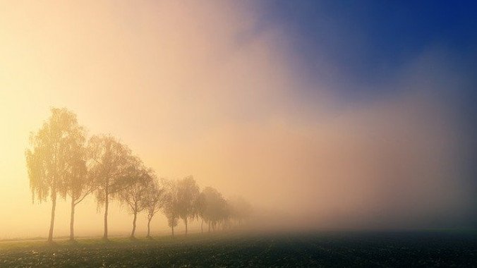 Синоптики предупредили о сильном тумане сегодня утром, 12 октября