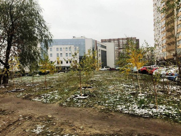 “Киевзеленстрой” начал капремонт сквера на улице Демеевской
