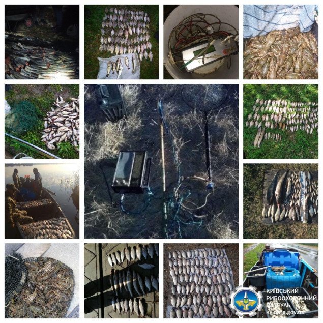 В этом году Киевский рыбоохранный патруль уже изъял около 60 км браконьерских сетей