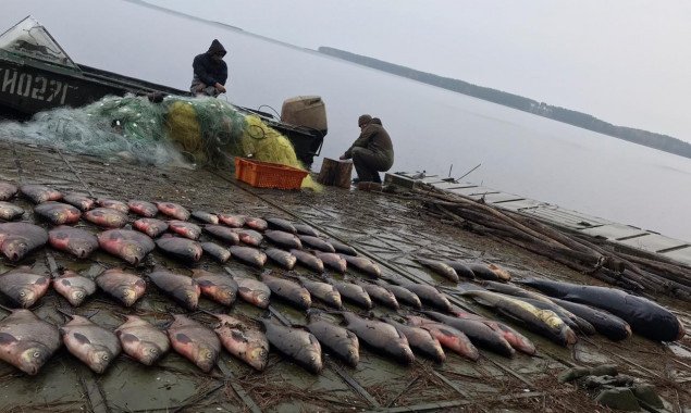 На Киевском водохранилище рыбоохранный патруль выявил браконьера