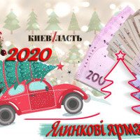 У Київській області стартував продаж новорічних ялинок (адреси)