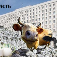 На хліб насущний: фермерам Київщини виділять дотації на понад 26 млн гривень