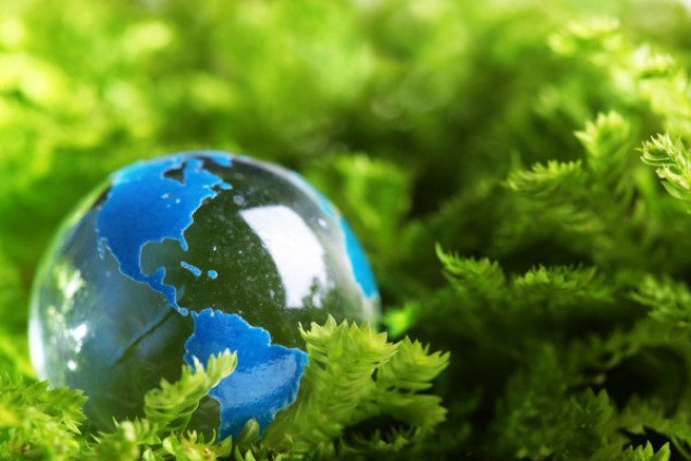 Киевоблсовет утвердил перечень природоохранных мероприятий на 2021 год
