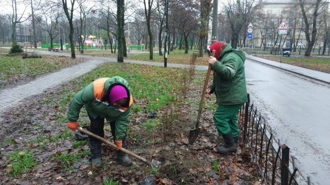 “Киевзеленстрой” заплатил 29,5 млн гривен за ремонты трех скверов и пяти парков в декабре 2020 года