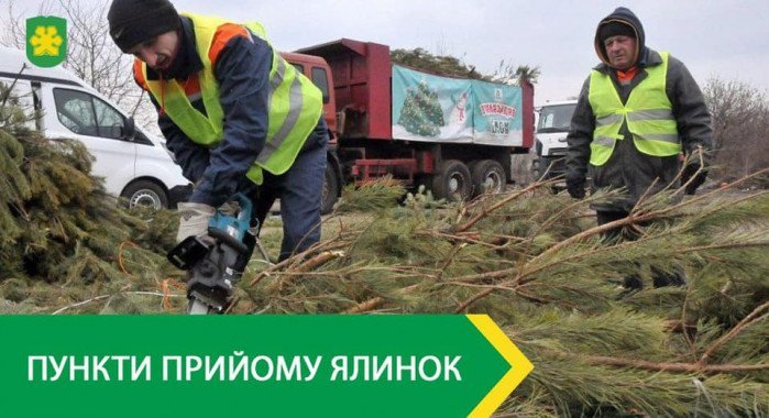 Пункты приема новогодних елок открываются в Буче Киевской области
