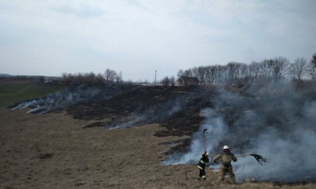 Спасатели Киевщины обеспокоены безнаказанностью поджигателей сухой травы (фото, видео)