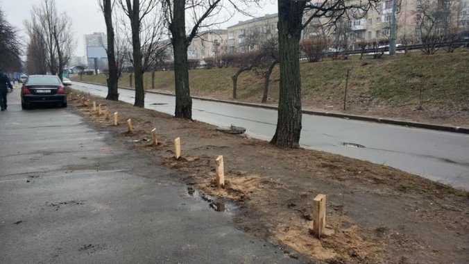 Коммунальщики решили бороться с парковкой на газонах на проспекте Соборности с помощью деревянных столбиков (фото)