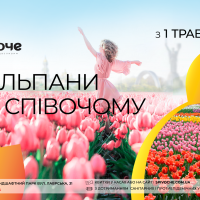 В киевском парке “Співоче” расцвело 700 тысяч тюльпанов