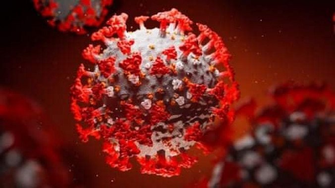 За добу на Київщині виявили 441 носія коронавірусу