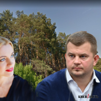 Жене депутата Киевсовета отдали под застройку почти 4 га бывшего леса