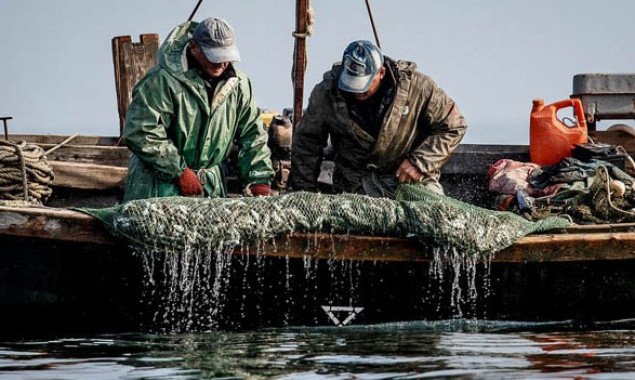 На Киевщине продлили срок нерестового запрета на промышленную рыболовлю