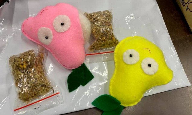 Киевские таможенники обнаружили наркотики в детских игрушках (фото)