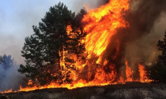 Ближайшие дни в Киеве и области ожидается чрезвычайный уровень пожарной опасности