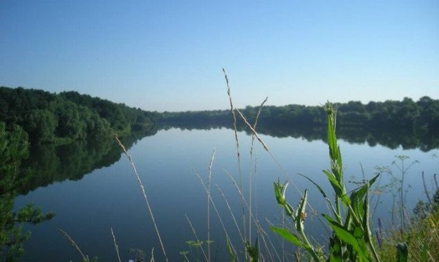 В реке Рось на Киевщине обнаружено значительное превышение содержания ртути