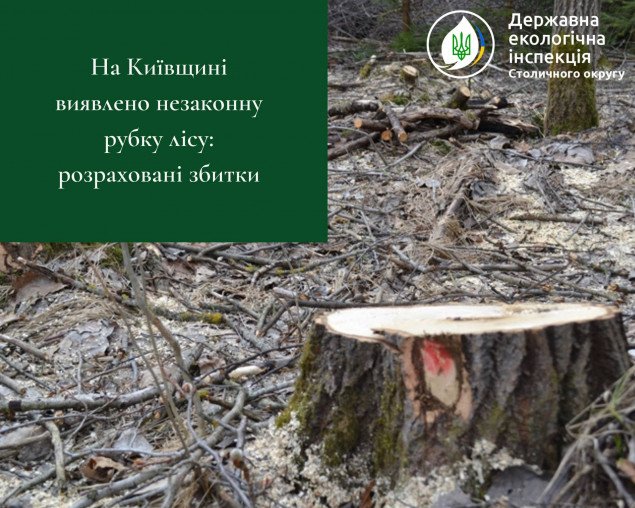 На Киевщине обнаружили незаконную рубку леса