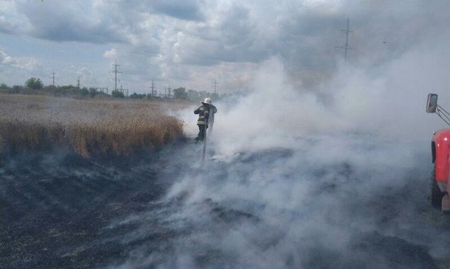 На Киевщине сгорело 4,5 га пшеницы