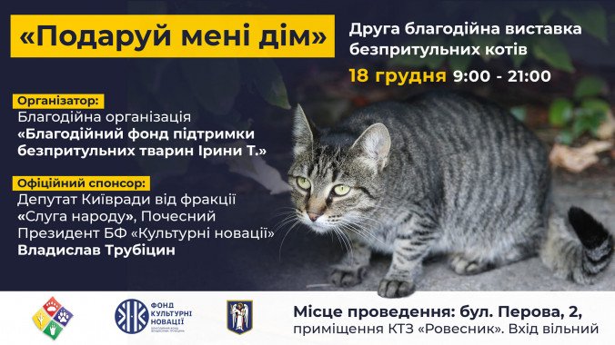 В Киеве пройдет благотворительная выставка беспризорных кошек “Подари мне дом”