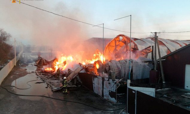 На Киевщине спасатели несколько часов ликвидировали масштабный пожар на пилораме (фото, видео)