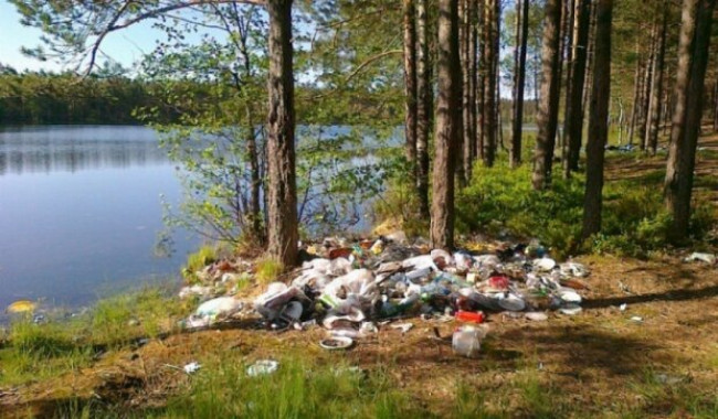 Кличко попросили установить мусорные контейнеры возле озера Вырлица