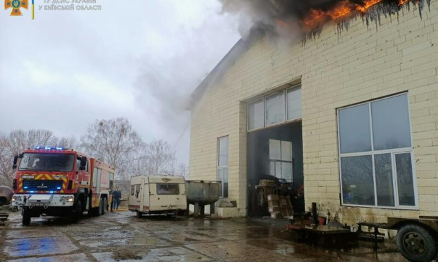 На Київщині пожежники запобігли екологічній катастрофі під Ірпенем (фото)