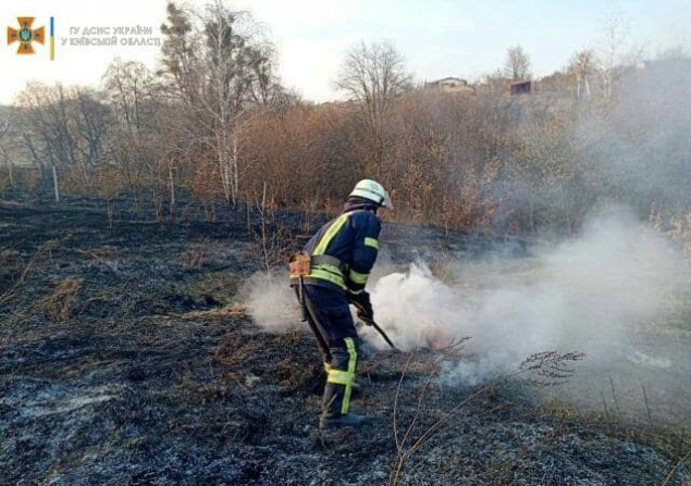 Майже по всій Україні оголосили надзвичайний рівень пожежної небезпеки
