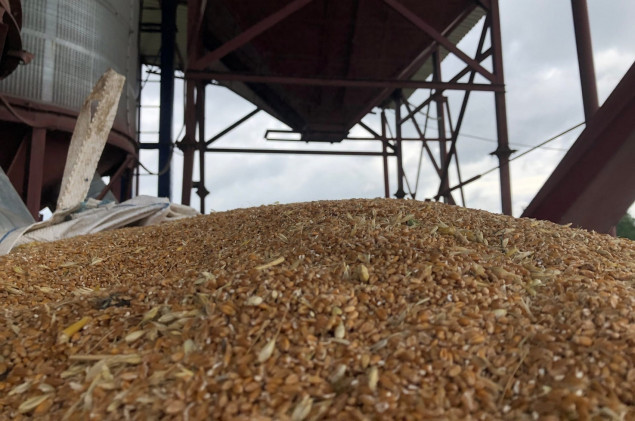 Україна має достатні запаси зерна, щоб задовольнити внутрішній і світовий попит принаймні до кінця 2022 року, - ОП
