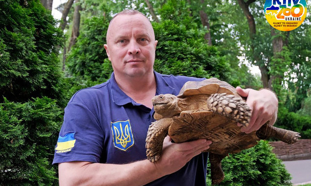 У Київському зоопарку до літнього вольєру вийшли велетенські черепахи (фото)