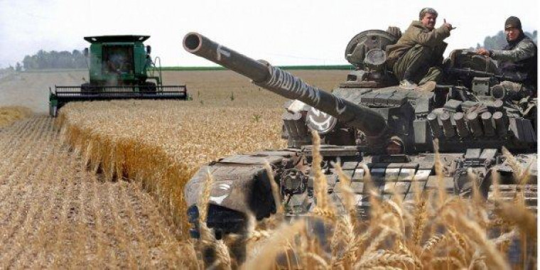На Харківщині загарбники крадуть зерно та вивозять до рф