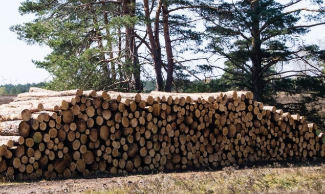 Фастівчанам пропонують купити деревину для опалення