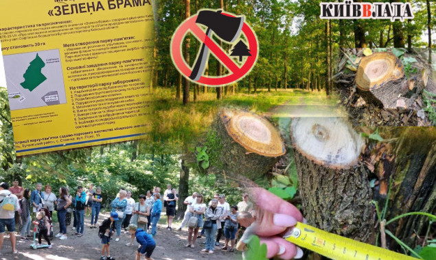 Зелена брама: мешканці Борщагівської громади виступили проти знищення лісової пам’ятки