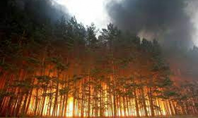 На вихідних у Києві та області переважатиме надзвичайний рівень пожежної небезпеки