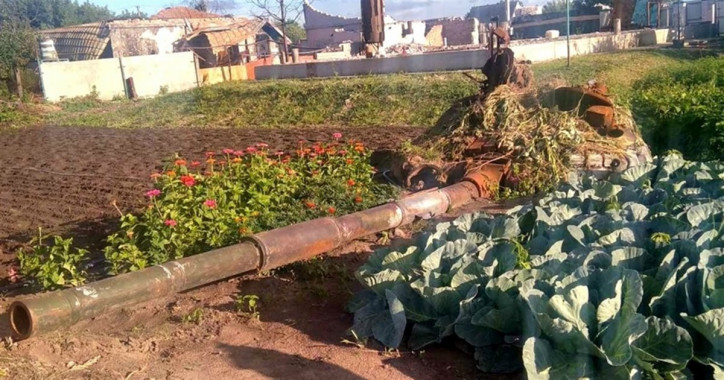 На Київщині у Великій Димерці спалений танк обсадили квітами та капустою (фото)