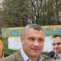 Де закінчується столиця: Київрада продовжує судитися з Бучанською райрадою за тисячі гектарів Біличанського лісу