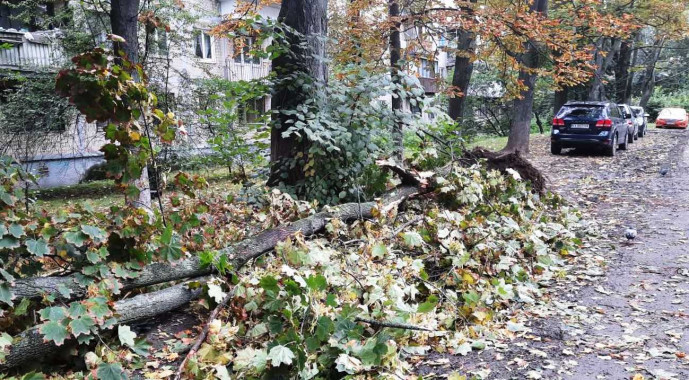Під час недільної негоди у столиці постраждало більше 100 дерев (фото)