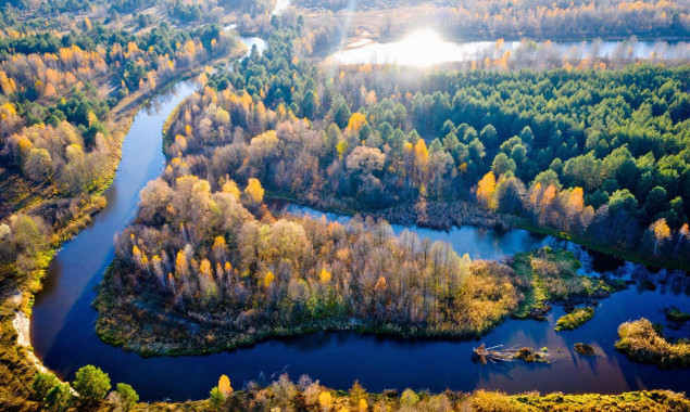 Кабмін передав 226 964,7 гектарів землі Чорнобильському радіаційно-екологічному біосферному заповіднику