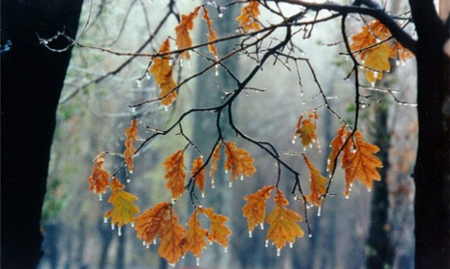 На Київщині та у столиці вночі 20 жовтня очікується дощ із мокрим снігом, - “Укргідрометцентр”