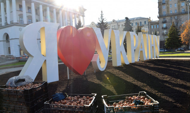 У центрі Києва висаджують 125 тисяч тюльпанів, подарованих Королівством Нідерланди (фото)