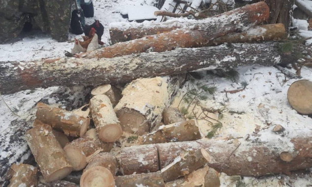 У Києві затримали трьох чоловіків за незаконну порубку дерев на Трухановому острові (фото)