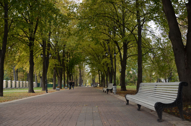 Прибирання центральних парків Києва оцінили в 9,8 млн гривень