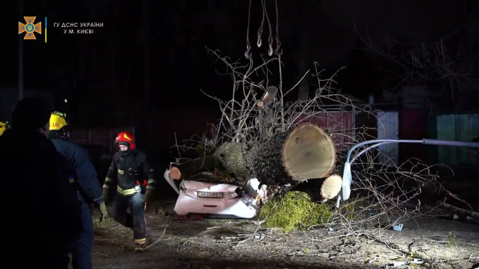 Недбалість столичного комунальника призвела до смертельної ДТП через падіння дерева у Святошинському районі