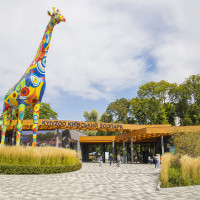 Київський зоопарк випустив стрічку “KyivZoo – життя заради майбутнього”