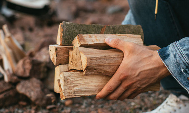 Державний санаторій Конча-Заспа планує витратити 5,1 млн гривень на дрова