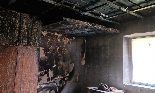  На Київщині у притулку для бездомних тварин “Сіріус” сталась пожежа, небайдужих  просять про допомогу (фото)