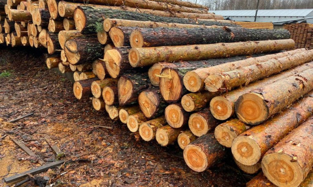 На Київщині нелегально вирубали лісу на 4 млн гривень (фото, відео)