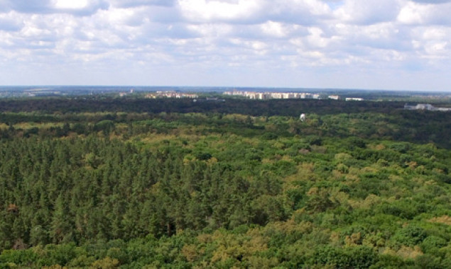 Державі повернули землі Нацпарку “Голосіївський” вартістю 130 млн гривень