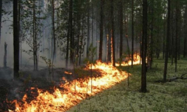 На Київщині - пожежна небезпека