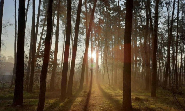 Сьогодні в Бучі відкриють Громадський сквер “Лісовий”