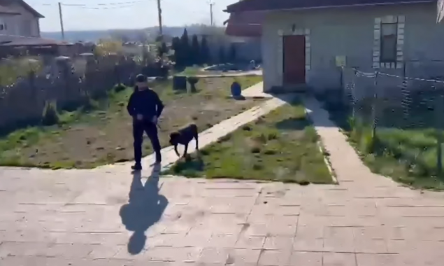 В Ірпінській громаді  з розплідника вилучили сім собак, які покусали жінку з дитиною (відео)