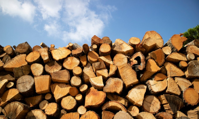 Мерія Борисполя вклалася у заготівлю дров